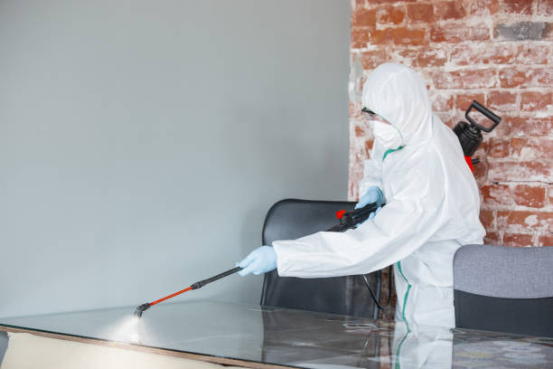 Best Mold Prevention Services in Golden, CO